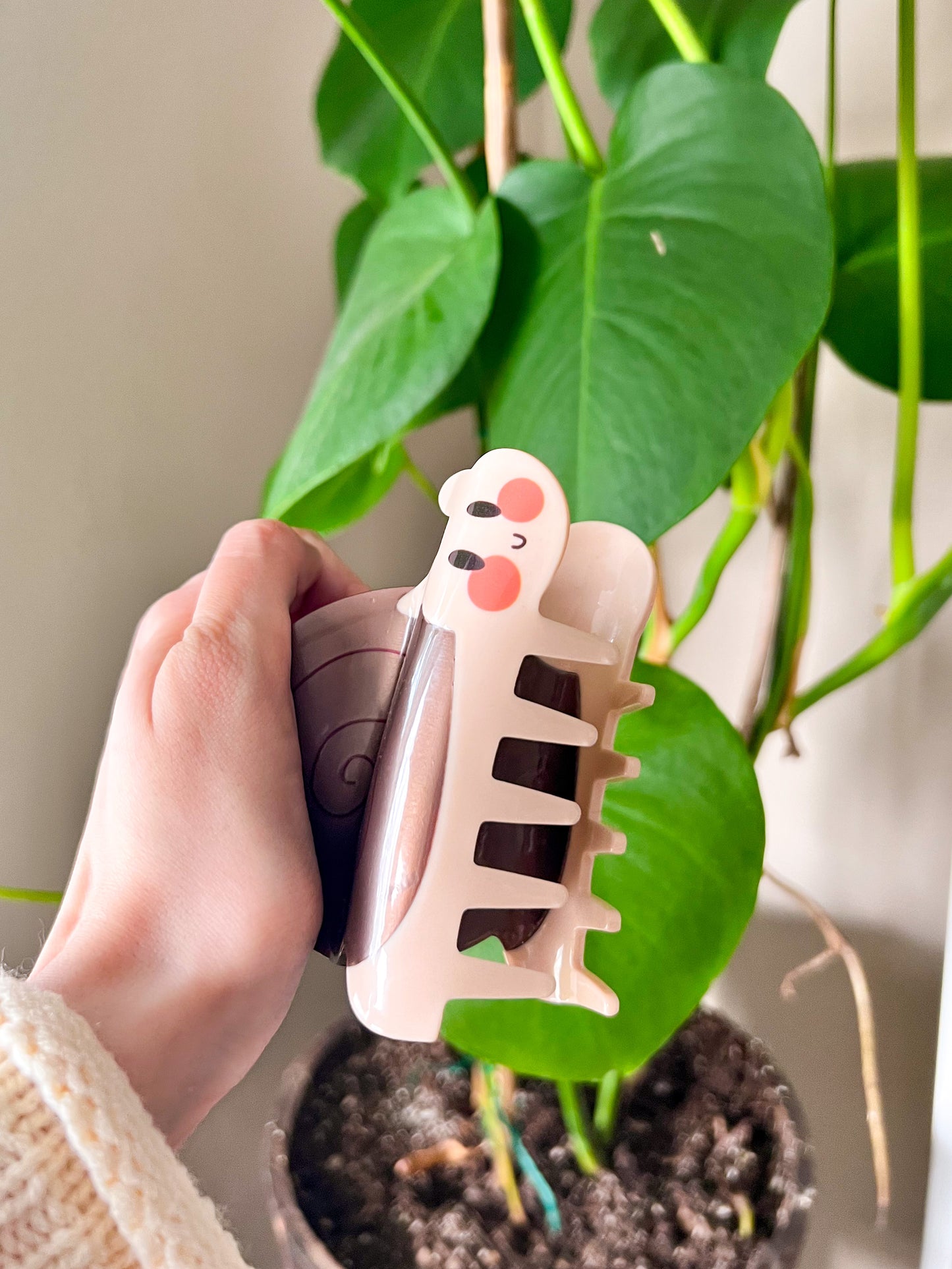 Jumbo Snail Hair Claw