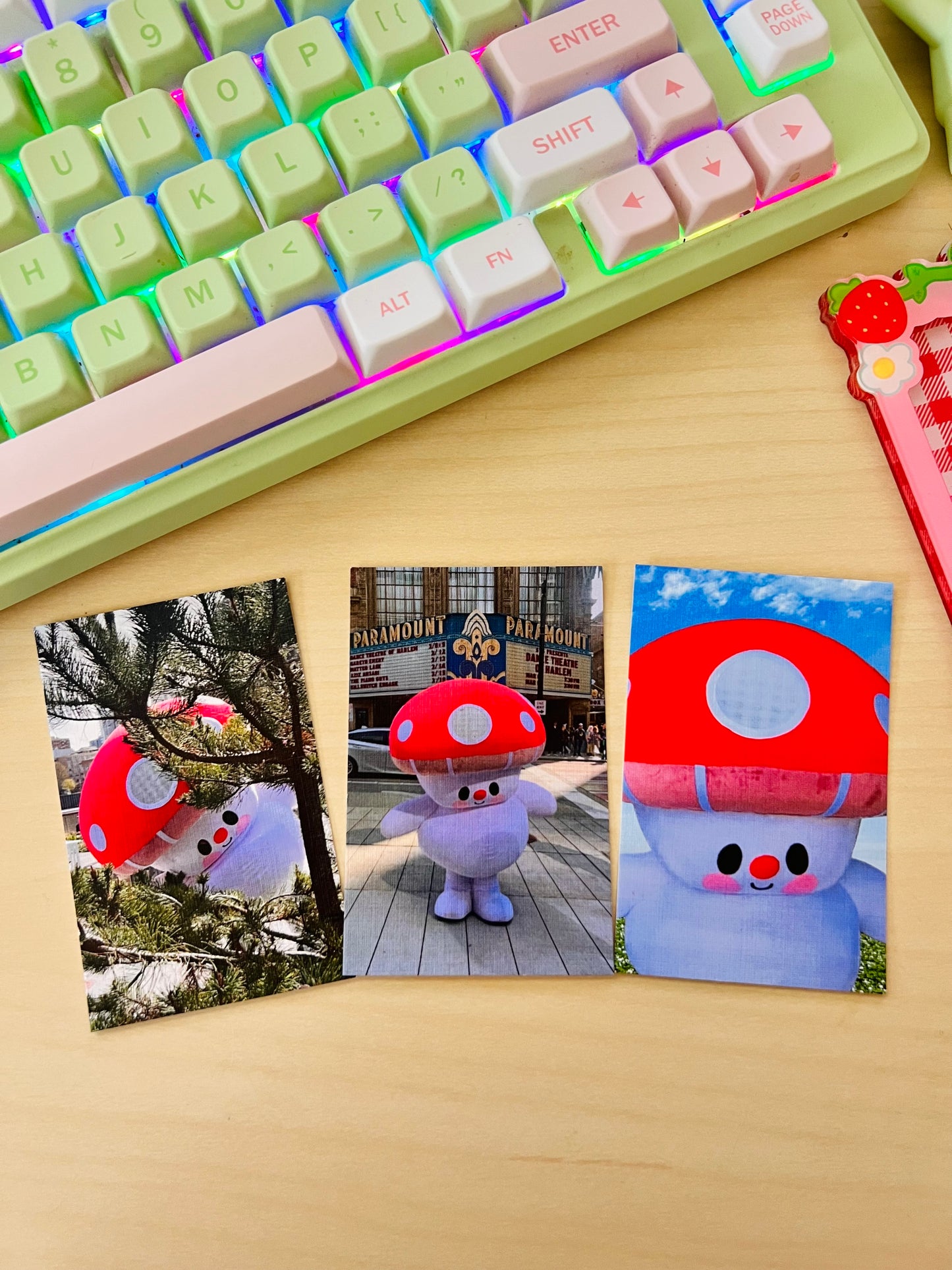 Marshall Mascot Photocard