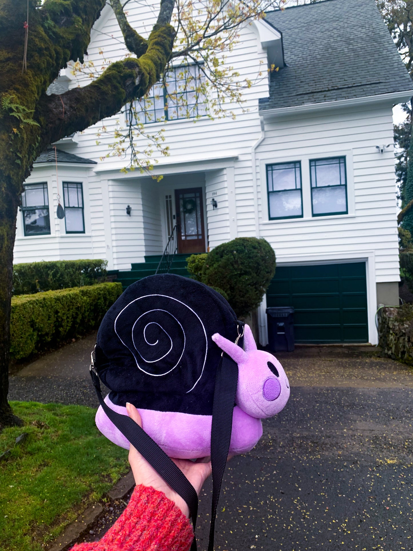 Snail Bags (AKA Snurse)