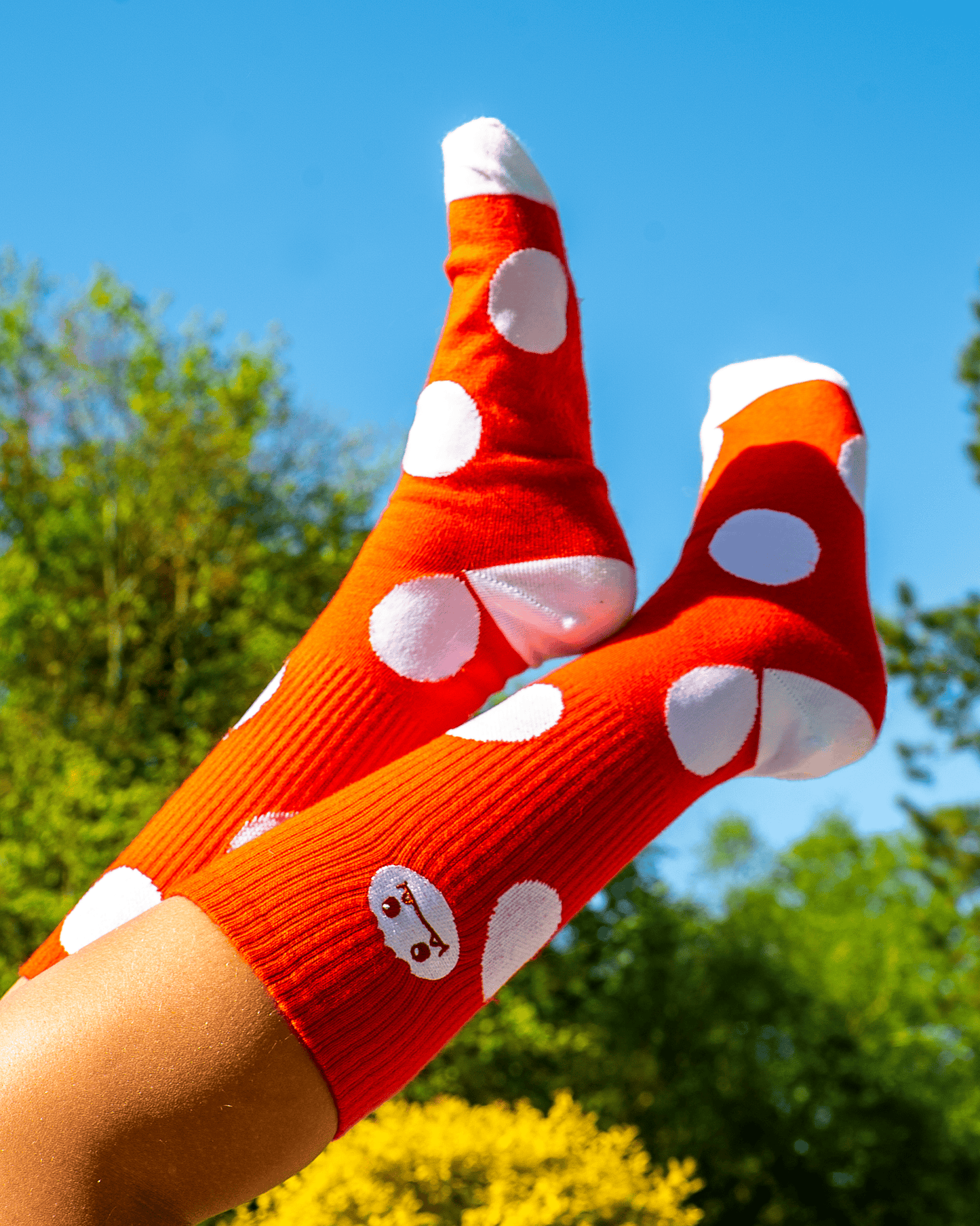 *PREORDER* Mushy Chomp Socks